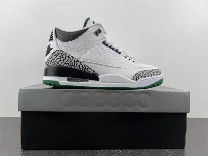 Air Jordan 3 retro oregon pitcrew 