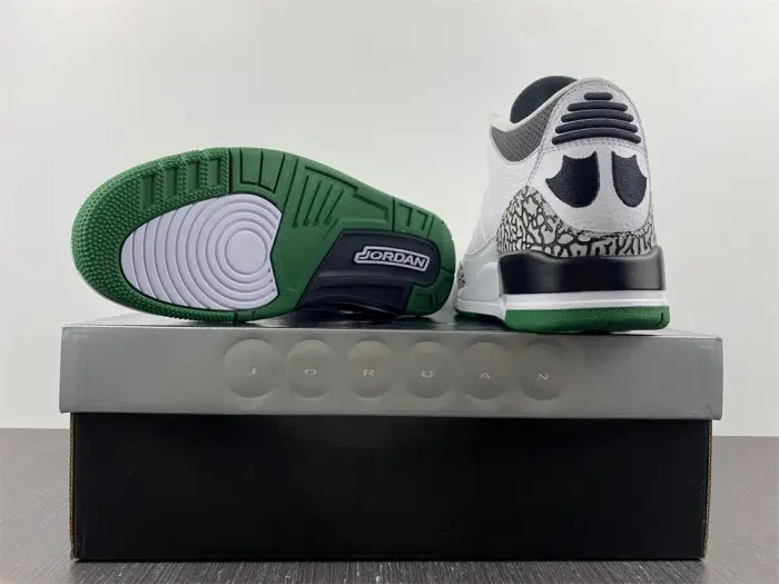 Air Jordan 3 retro oregon pitcrew 