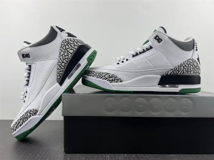 Air Jordan 3 retro oregon pitcrew 