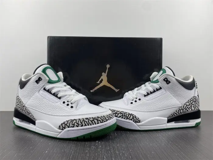 Air Jordan 3 retro oregon pitcrew 
