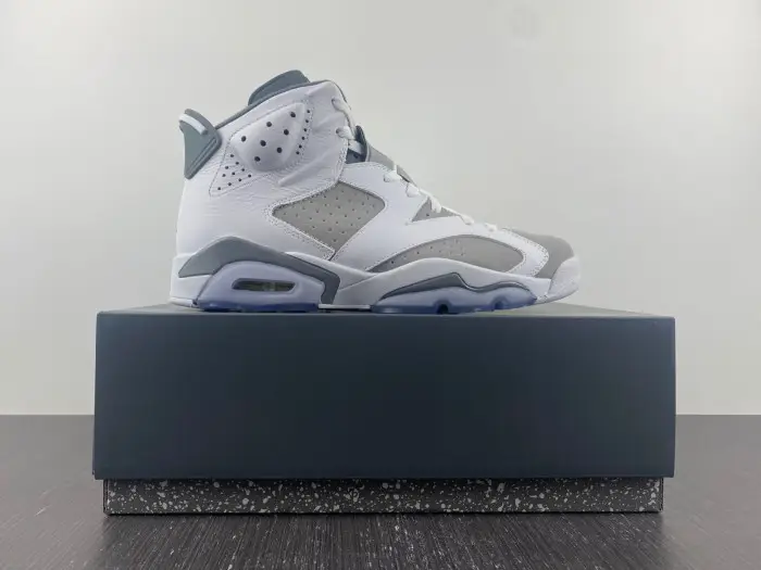 Air Jordan 6 