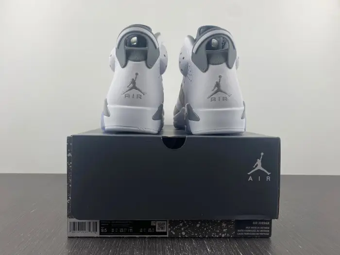 Air Jordan 6 
