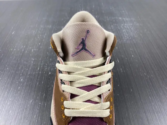 AIR JORDAN 3 RETRO SE 'WINTERIZED' 
