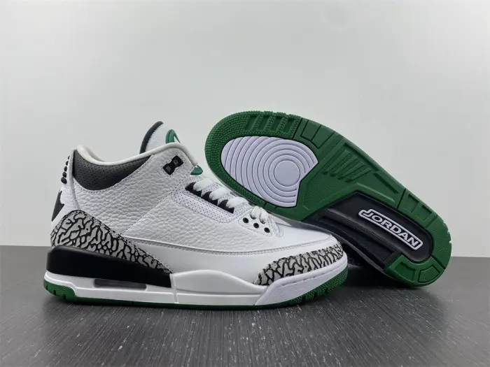 Air Jordan 3 retro oregon pitcrew 