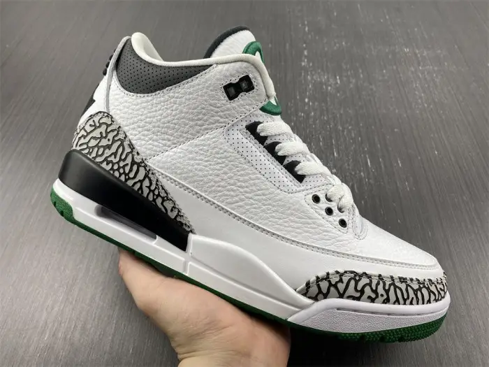 Air Jordan 3 retro oregon pitcrew 