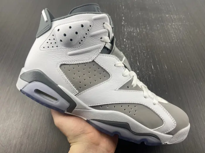 Air Jordan 6 
