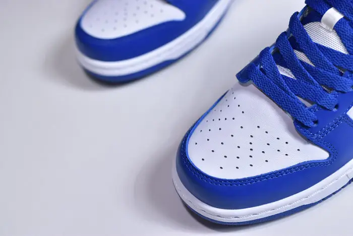 Nike Dunk Low SP Kentucky (2020) 
