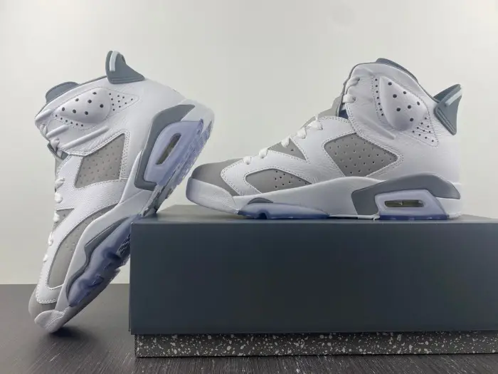 Air Jordan 6 