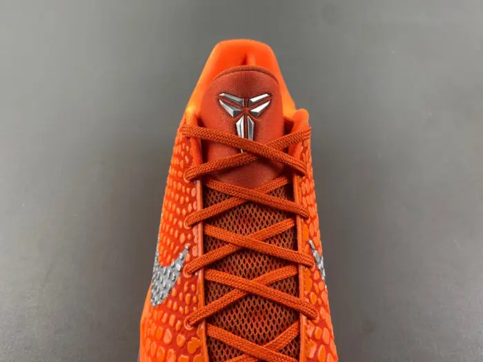Kobe 6 Protro 