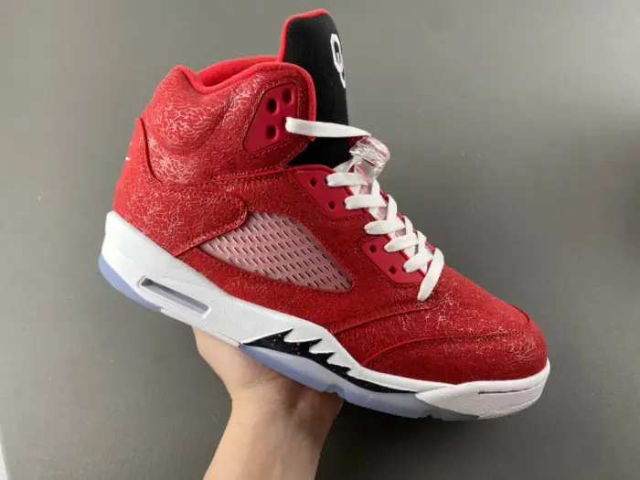Air Jordan 5 Style 