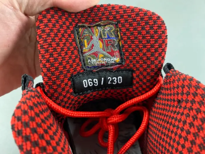 Steve Wiebe x Air Jordan 10 