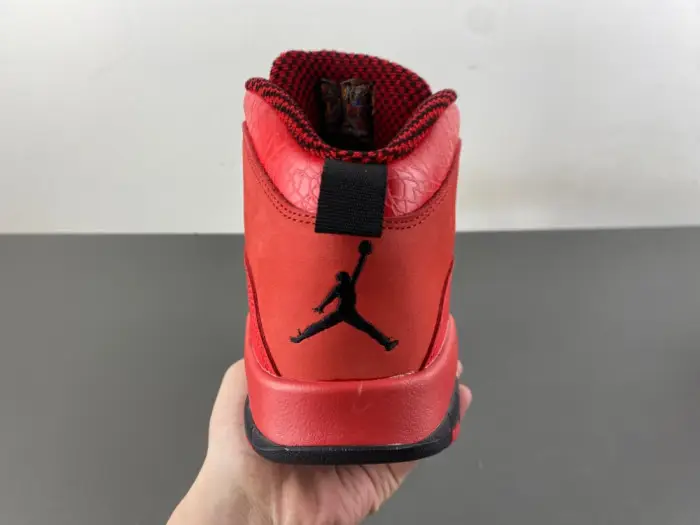 Steve Wiebe x Air Jordan 10 
