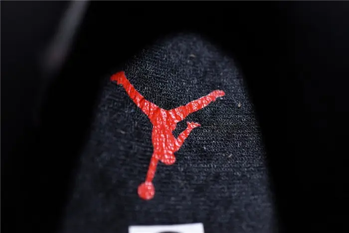 Air Jordan 4 SE Laser Black Gum 