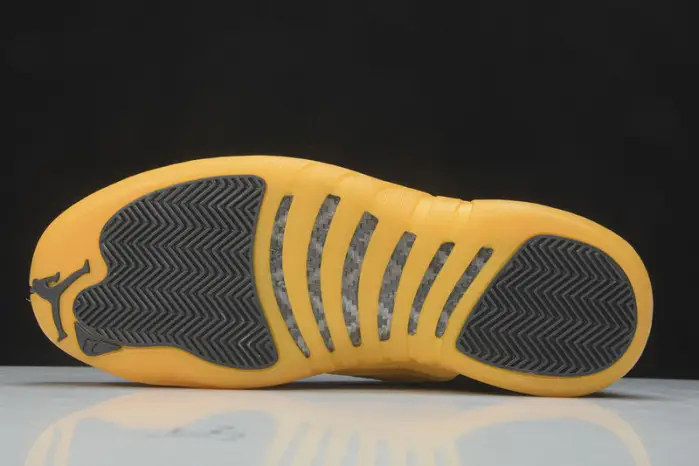 Air Jordan 12 