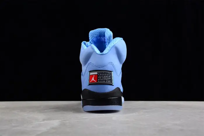 Air Jordan 5 