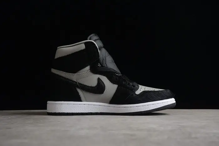 Air Jordan 1 High OG WMNS 
