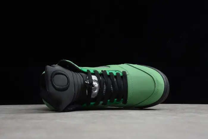 Air Jordan 5 Oregon Ducks Elevate 