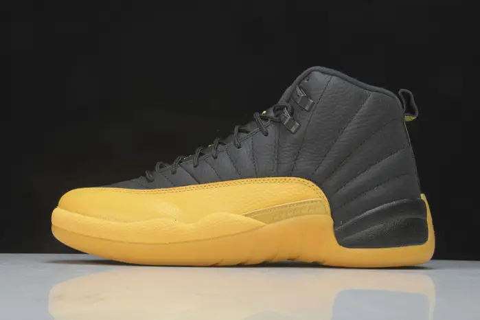 Air Jordan 12 