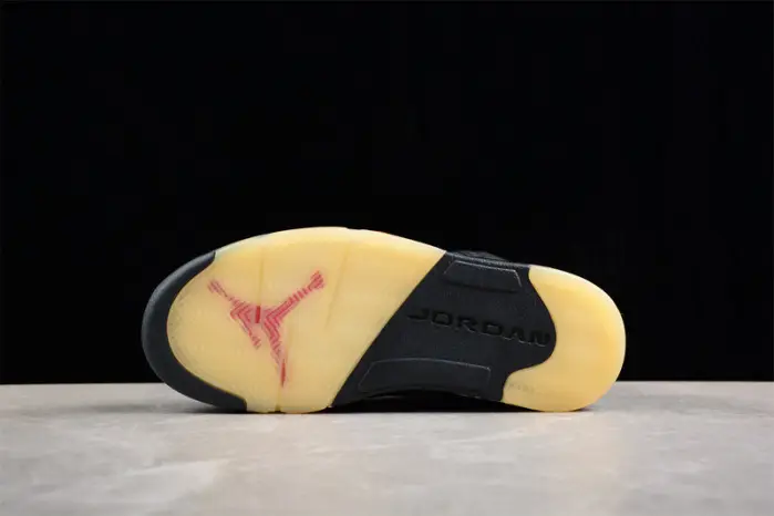 Air Jordan 5 Gore-Tex 