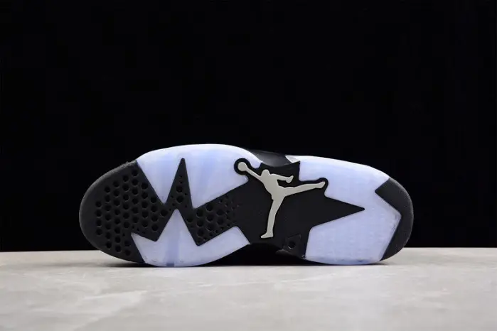 Air Jordan 6 