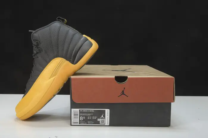 Air Jordan 12 