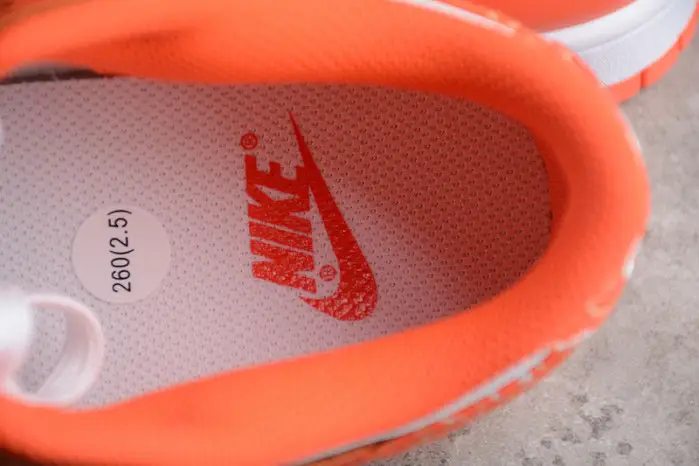 Nike Dunk Low Essential Paisley Pack Orange 