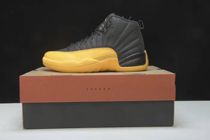Air Jordan 12 
