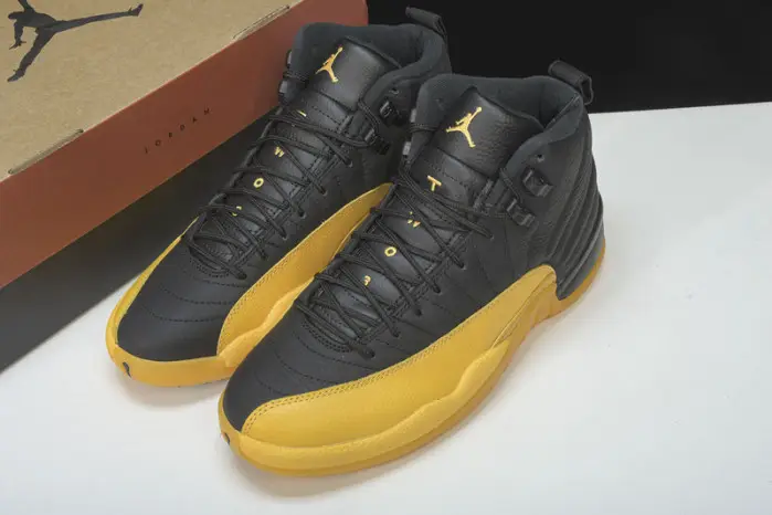Air Jordan 12 