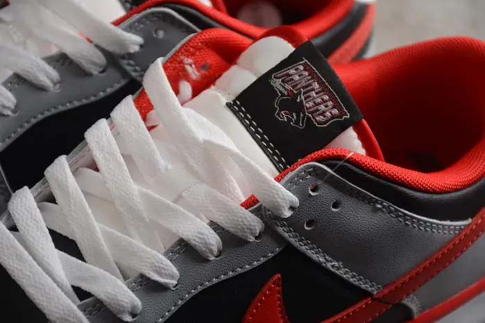 Nike Dunk Low "CAU" 