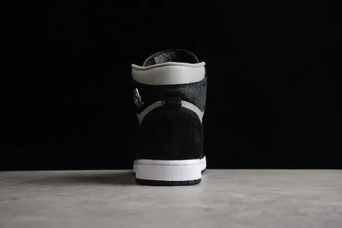 Air Jordan 1 High OG WMNS 