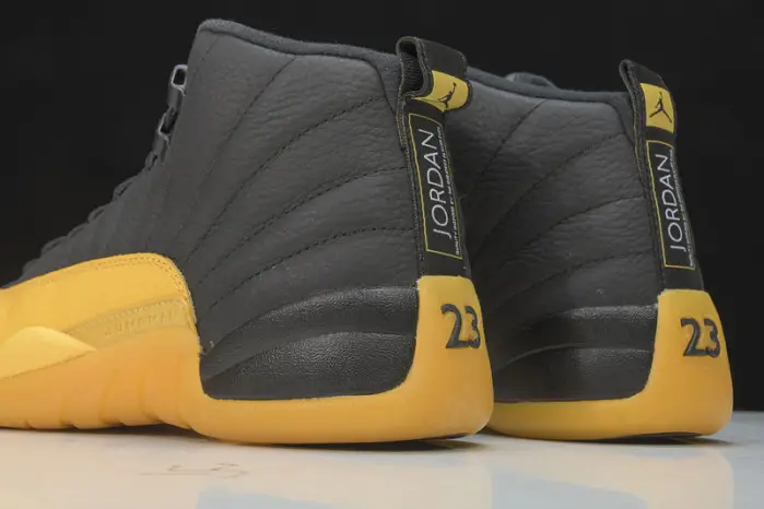 Air Jordan 12 
