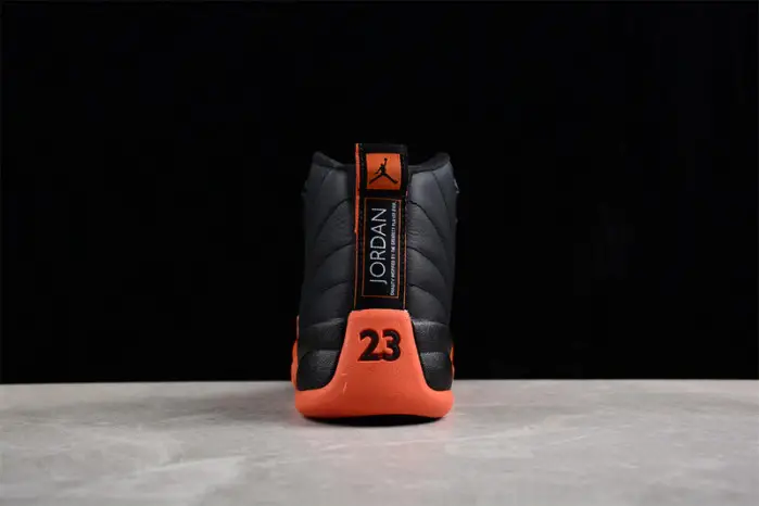 Air Jordan 12 